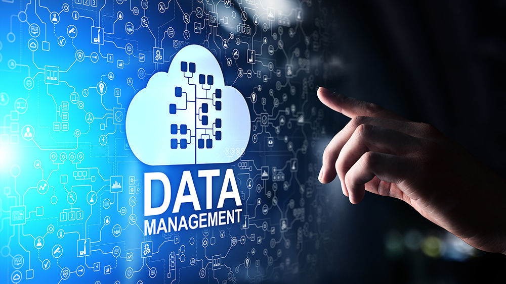 Decision Inc experts on working towards a better data management ...