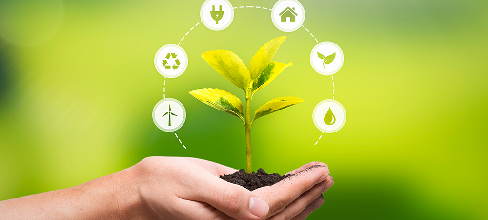 <strong>Facing down the climate crisis: Turning your business green</strong>