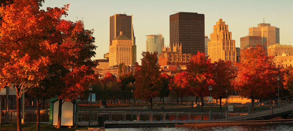 Equinix expands in Montreal to support growing financial services, gaming and aerospace sectors