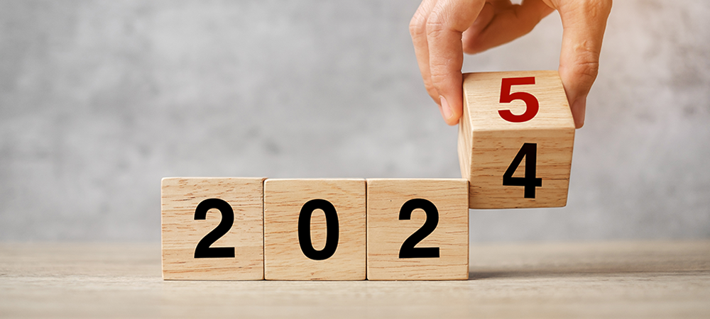 Hot Topic: Applying 2024 lessons to 2025 strategies